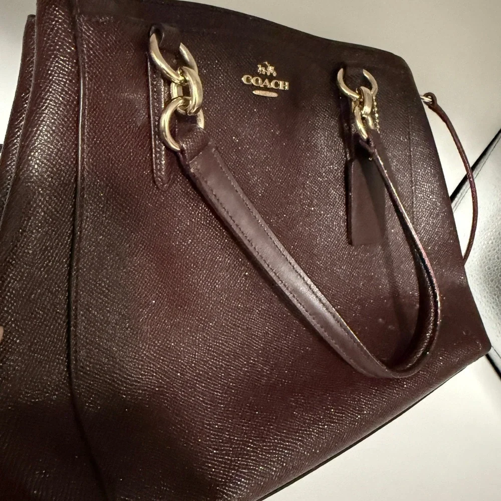 Coach Pebble Leather‎ Burgundy/Purple Glitter Satchel Crossbody Handbag Silver